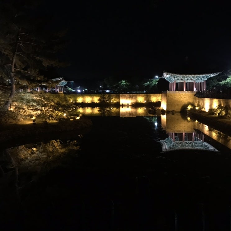  ~5.20 먹부림과 경주 여행