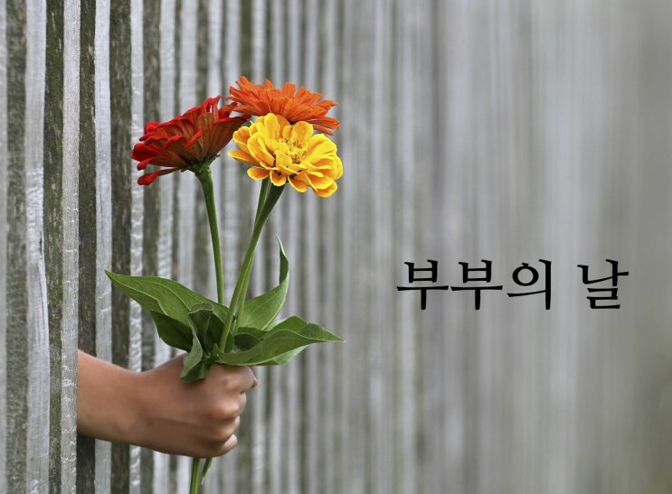  소중한 의미를 담고있는 [부부의 날]