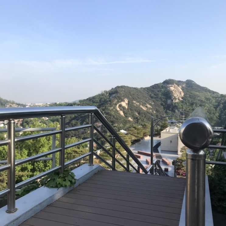  음~ 여름인가? ::5월의 세번째 주