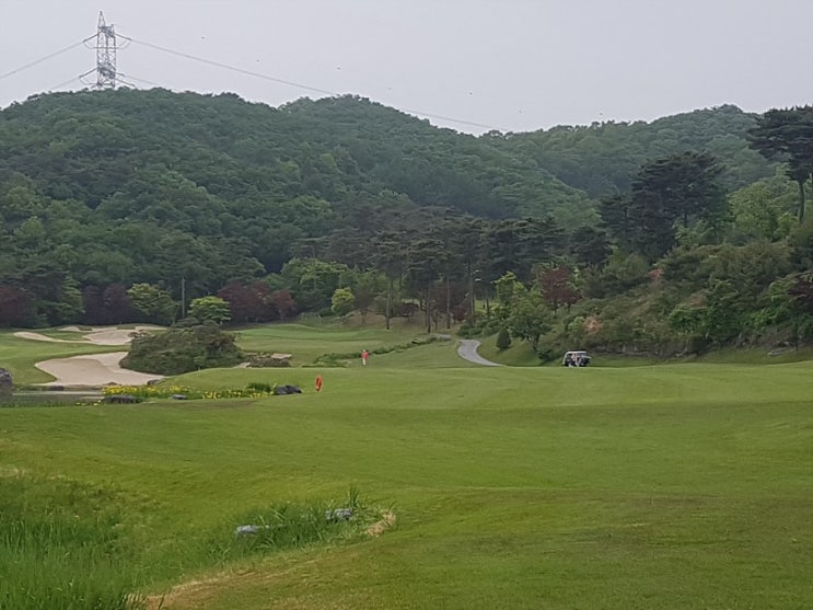  렉스필드CC 라운딩후기