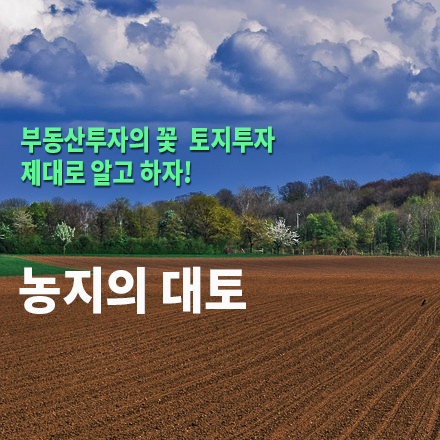  [농지/산지 활용법] 농지의 대토