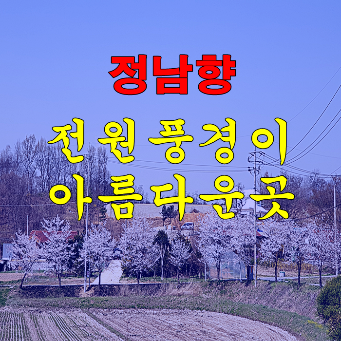  양평토지매매 남향의 전원풍경이 아름다운 곳 입니다