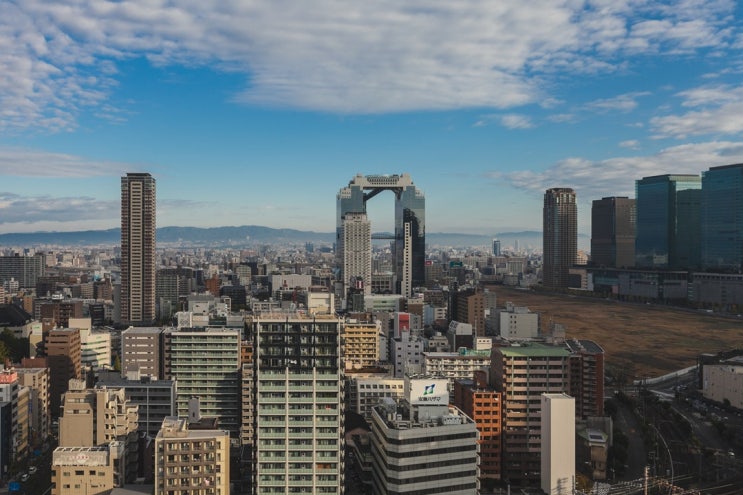  [주식 개념] 누적적우선주, 누적적참가우선주