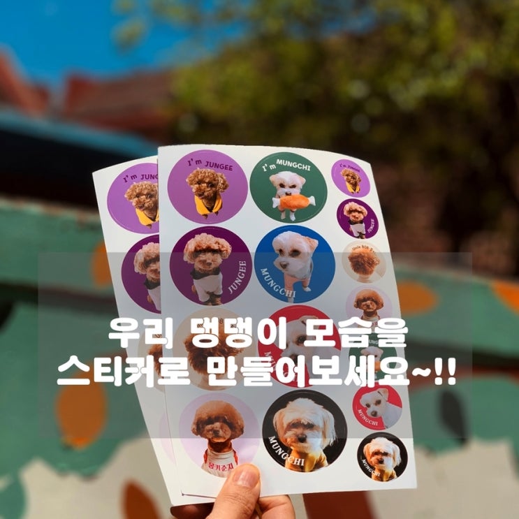  [일상] 댕댕이 스티커를 만들기!!