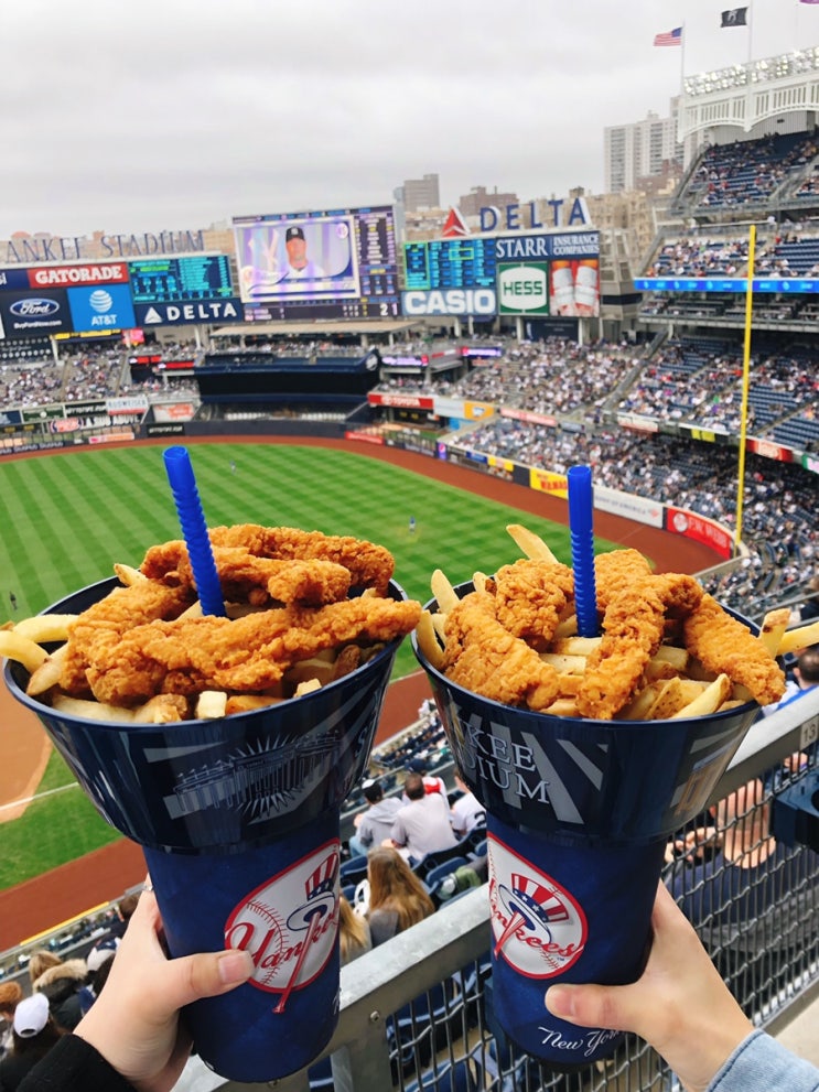  30 [MLB] 양키스타디움 직관 / 뉴욕 양키스 - Yankee Stadium, New York Yankees