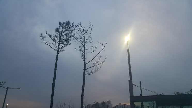  족상은 우리몸의 바로미터