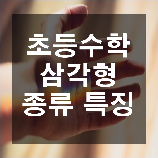  초등수학 삼각형의 정의 특징 그리고 종류 넓이 구하는 공식 방법