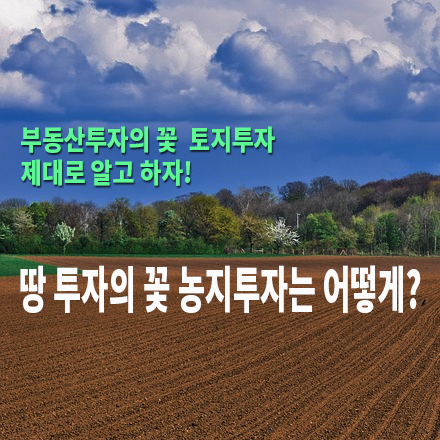  [농지/산지 활용법] 땅 투자의 꽃 “농지투자” 는 어떻게?