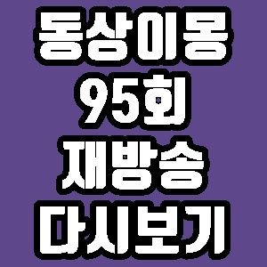  동상이몽2 너는 내 운명 95회 재방송 다시보기 방송시간 편성표 신동미 허규 새집