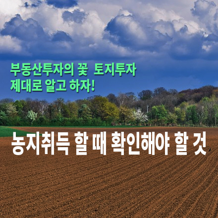  [농지/산지 활용법] 농지취득 할 때 확인해야 할 것