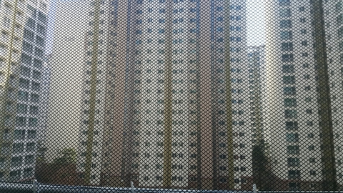  비둘기버드네트설치작업