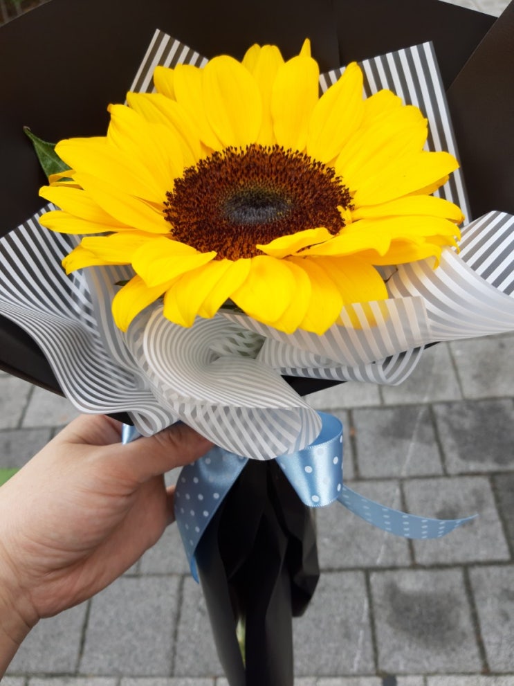  성년의날-해바라기꽃