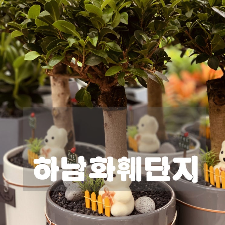  [일상] 하남 하훼 단지 다녀왔어요.
