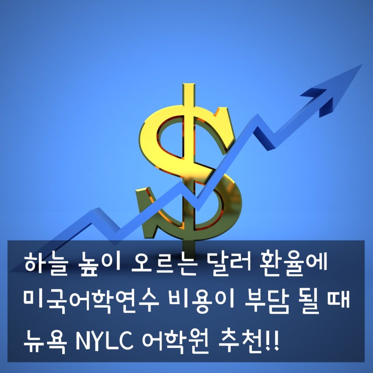  뉴욕 어학연수:: 가성비 좋은 NYLC 어학원