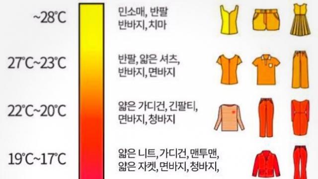  꿀팁- 기온별 옷차림