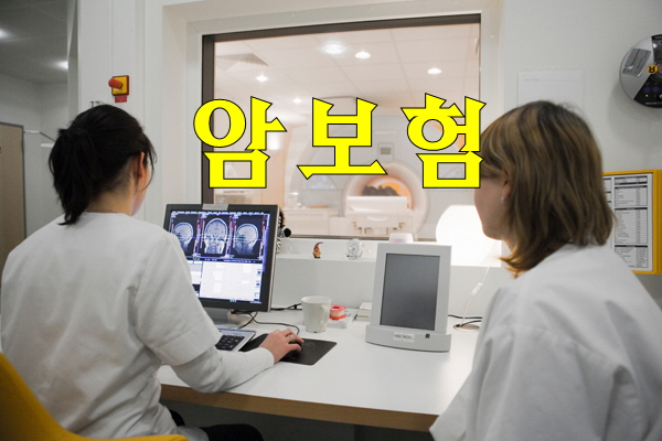  동부화재암보험 Hint보기