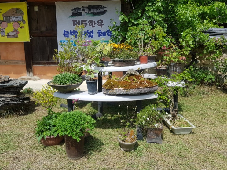 제 3회 충주 트로트 같은 인생 고택힐링음악회 아랑고고장구 충주분원