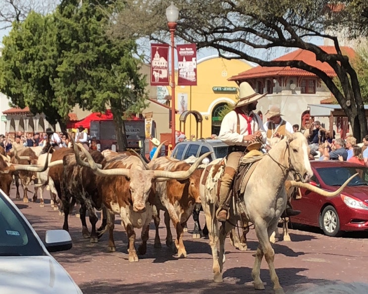  달라스 근교 여행 : 포트워스 스톡야드(Fort Worth Stockyard)