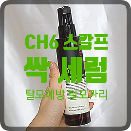  탈모세럼추천, CH6 스칼프 싹세럼으로 탈모관리하자!