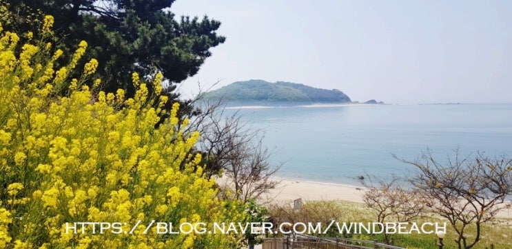 인천 섬 여행 < 대이작도 > 1박2일 촬영지 기대 이상이네요~