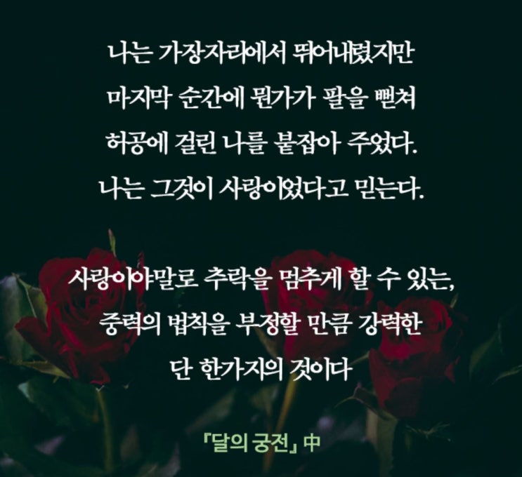  폴 오스터, 『달의 궁전』