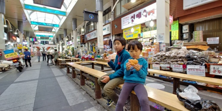 서귀포시 작가의 산책길