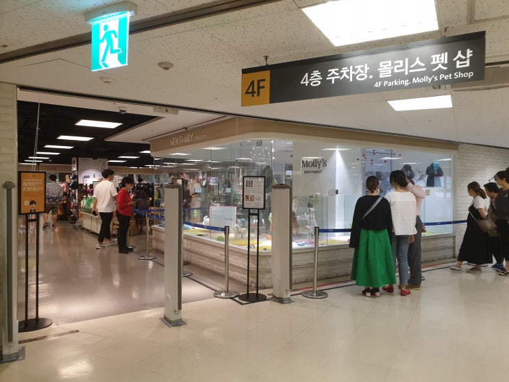  이마트 성수점 몰리스펫샵 미용하러 가는곳