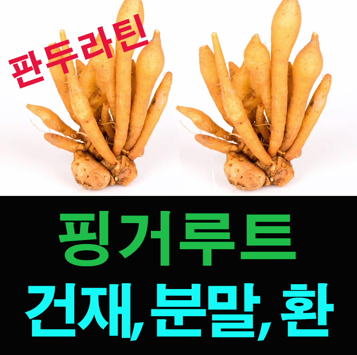  핑거루트 효능 판두라틴 함유된  분말, 건재, 환 가격(핑크루트)