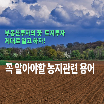  [농지/산지 활용법] 꼭 알아야 할 농지관련 용어