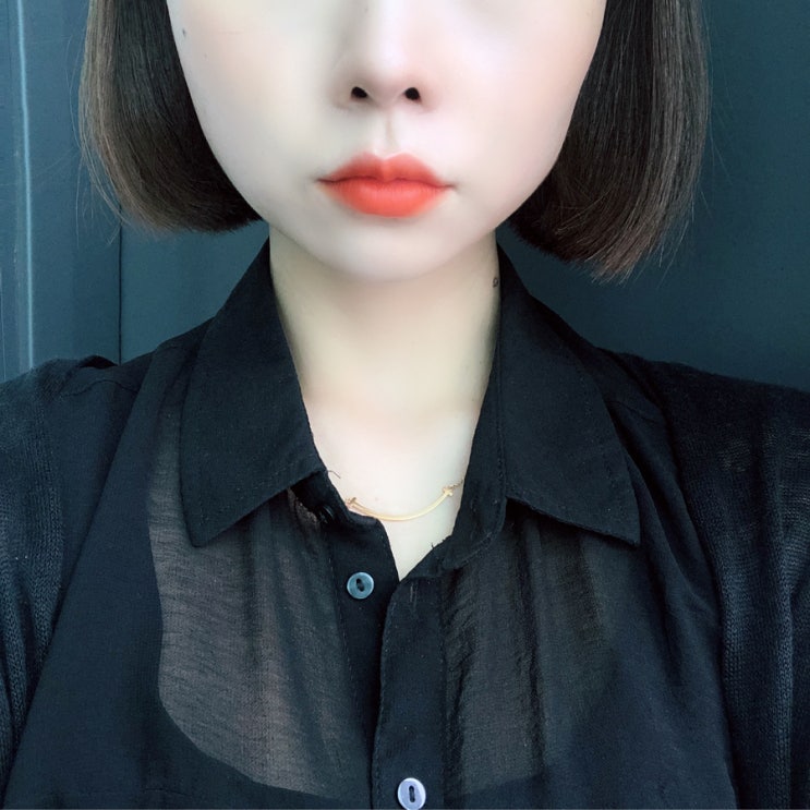  오렌지 틴트 _ 페리페라 잉크 더 벨벳 : 잉크러쉬