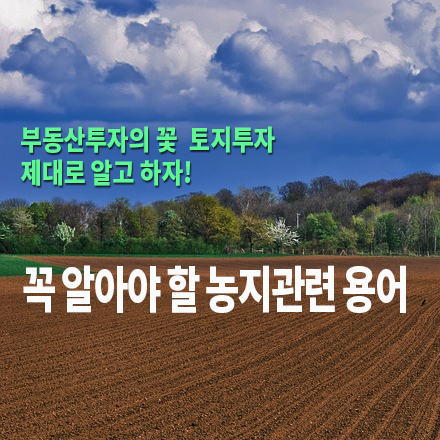  [농지/산지 활용법] 꼭 알아야 할 농지관련 용어