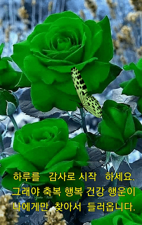  부부의 날