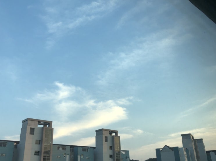  5월은 푸르구나아, (20190501-20190515)