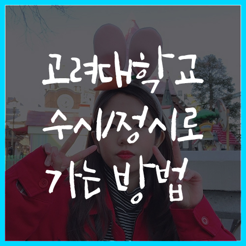  고려대가는법 내신, 생기부 관리 & 수시/정시 전략