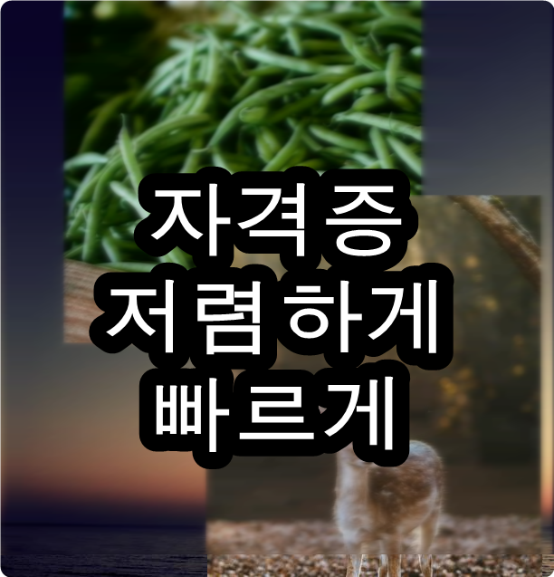  학점은행제학점인정 놓치는 것 없이
