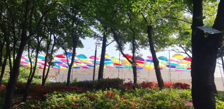  송현근린공원 산책하기 좋아요.