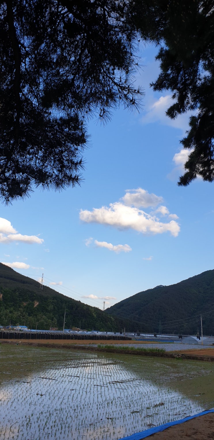  20190521화