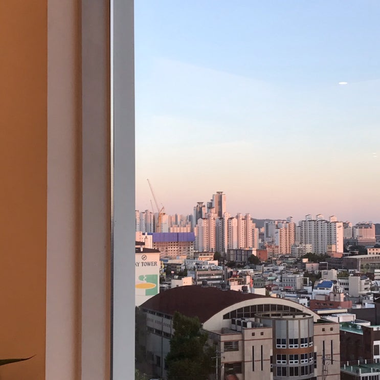  자연 조와