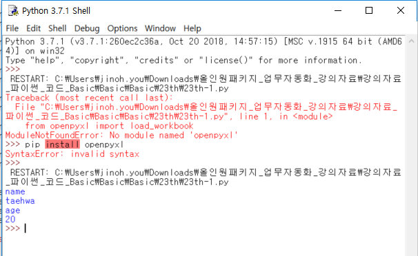 Fixing The 'Modulenotfounderror: No Module Named Openpyxl' Error