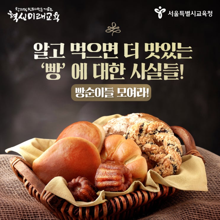 빵 어디까지 먹어봤니? 알고 먹으면 더 맛있는 빵에 대한 사실들