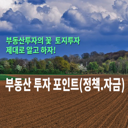  [농지/산지 활용법] 부동산 투자 포인트(정책.자금)