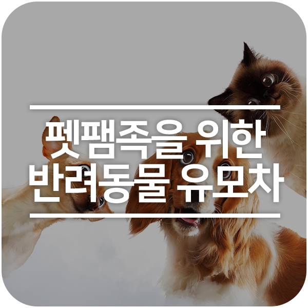  슈퍼주니어 예성도 있다! 펫팸족을 위한 '잇 아이템' 반려동물 유모차의 모든 것!