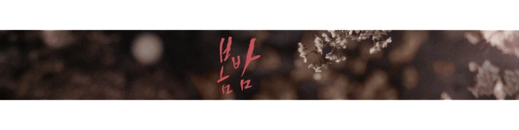  드라마 봄밤 등장인물 관계도