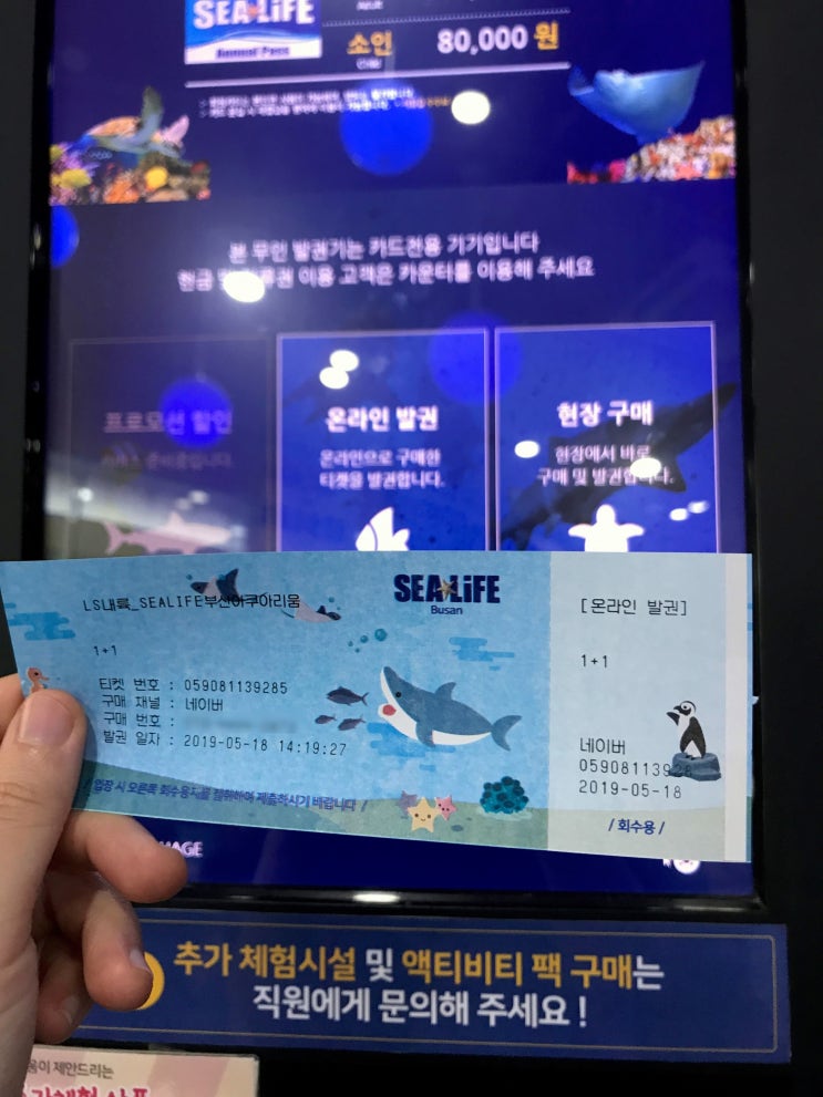  부산가볼만한곳 / 실내데이트 [씨라이프 부산 해운대 아쿠아리움]
