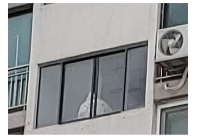 경기 의정부시 아파트에서 일가족 참변 부검결과나와~