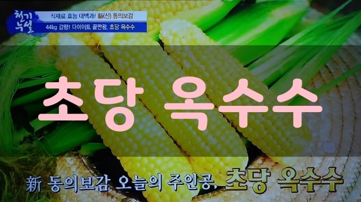  44kg 감량 특급 비법 초당 옥수수- 천기누설 363회