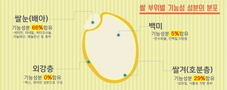  황국균 및 유산균 복합발효기술을 이용한 발효효소식품의 제조 방법 (KR20130136865A)