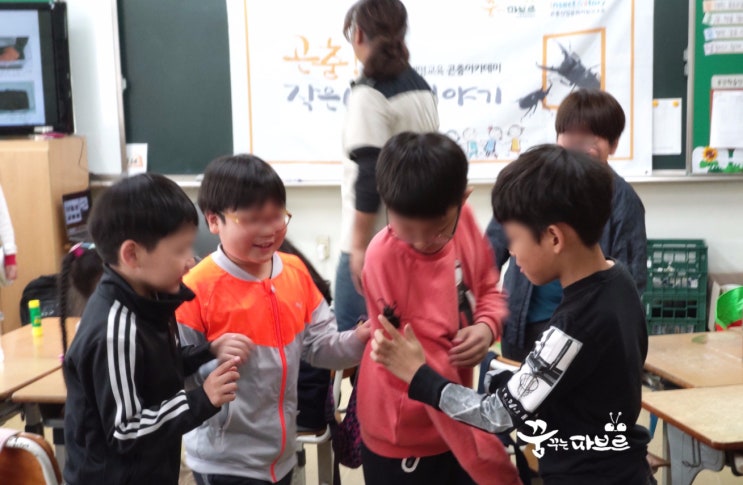  장수풍뎅이 애벌레  키우기_찾아가는 곤충아카데미에서 펼쳐지는 재미있는 체험수업이야기