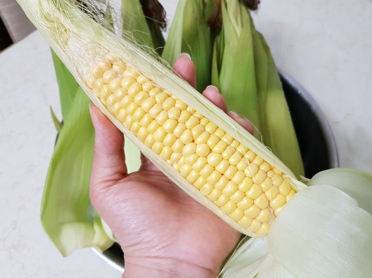  초당옥수수 찌는법과 보관법 맛있어요