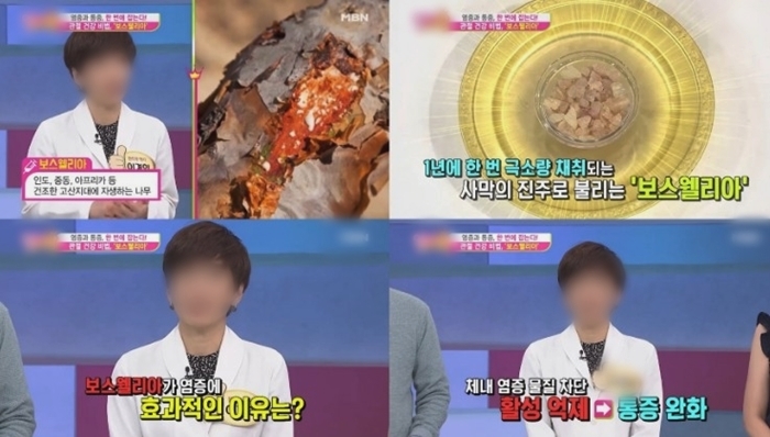  보스웰리아차, SCP추출물 등 관절건강식품 비교분석